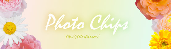 photo chips
